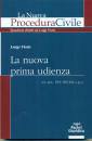 VIOLA LUIGI, La nuova prima udienza