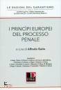 GAITO ALFREDO, I principi europei del processo penale