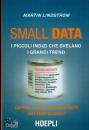 LINDSTROM MARTIN, Small Data