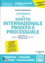 PASQUARIELLO, Compendio di diritto internazionale privato e ....