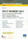 immagine di Split payment 2017