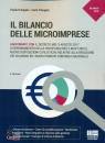 immagine di Il bilancio delle microimprese