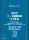 immagine di Codice dei contratti pubblici 2019