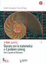 TERENCE TAO, Risolvere problemi matematici Mio punto di vista