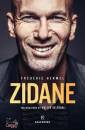 immagine di Zidane