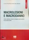 DONELLI - GABBRIELLI, Macrolesioni e macrodanno Come valutare il danno