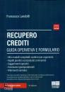 immagine di Recupero crediti Guida operativa e formulario
