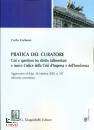 CARBONE CARLO, Pratica del curatore Casi e questioni ...