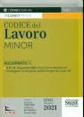 SIMONE, Codice del lavoro Edizione Minor VE