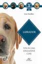immagine di Labrador vita in casa, educazione, cure