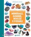 immagine di Minerali, gemme, rocce e fossili