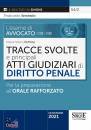 SIMONE, Principali atti giudiziari di diritto penale