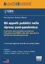 CAPOTORTO - MASSARI, Gli appalti pubblici nella ripresa post-pandemica