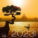 immagine di Mindfulness 2023 30x30