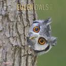 immagine di Calendario da muro 30x30 cm owls 2023