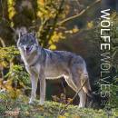 immagine di Calendario da muro 30x30 cm wolves 2023