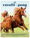 immagine di Cavalli e pony