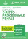 PONTILLO - SALADINO, Compendio di diritto processuale penale 2023