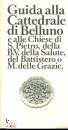 immagine di Guida alla Cattedrale di Belluno