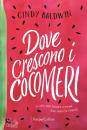 BALDWIN, Dove crescono i cocomeri