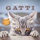 immagine di Calendario gatti 2024