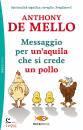 DE MELLO ANTONY, Messaggio per un