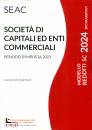 immagine di Societ di Capitali ed Enti Commerciali 2024