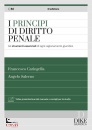 CARINGELLA - SALERNO, I principi del diritto penale