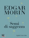 immagine di Semi di saggezza