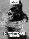 MURSIA, I giorni dei cani agenda 2026