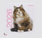 WHITE STAR, Gatti. Calendari da muro 2026