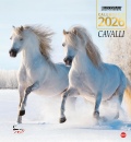 SPREA BOOK, Cavalli. Calendario 2026