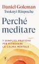 immagine di Perch meditare 7 semplici pratiche per ritrovare