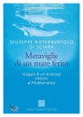 immagine libro