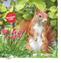 ALPHA EDITION, Squirrels calendario 2027 30x30 cm