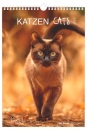 ALPHA EDITION, Cats calendario 2027 23,7x34 cm